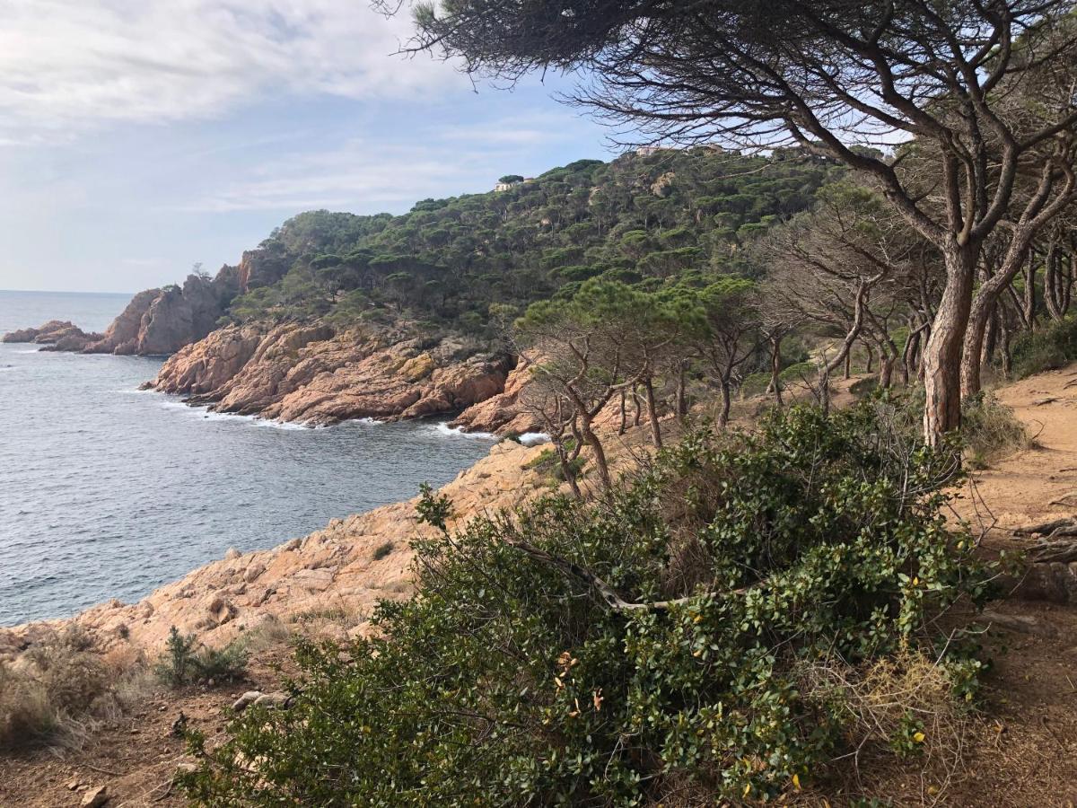 Family B&B Homefromhomees Sant Feliu de Guíxols Dış mekan fotoğraf