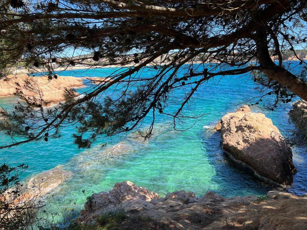 Family B&B Homefromhomees Sant Feliu de Guíxols Dış mekan fotoğraf