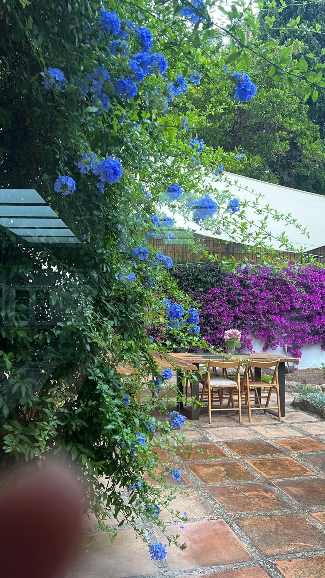 Family B&B Homefromhomees Sant Feliu de Guíxols Dış mekan fotoğraf